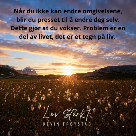 Problemet er ikke problemet.