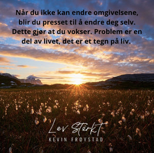 Problemet er ikke problemet.